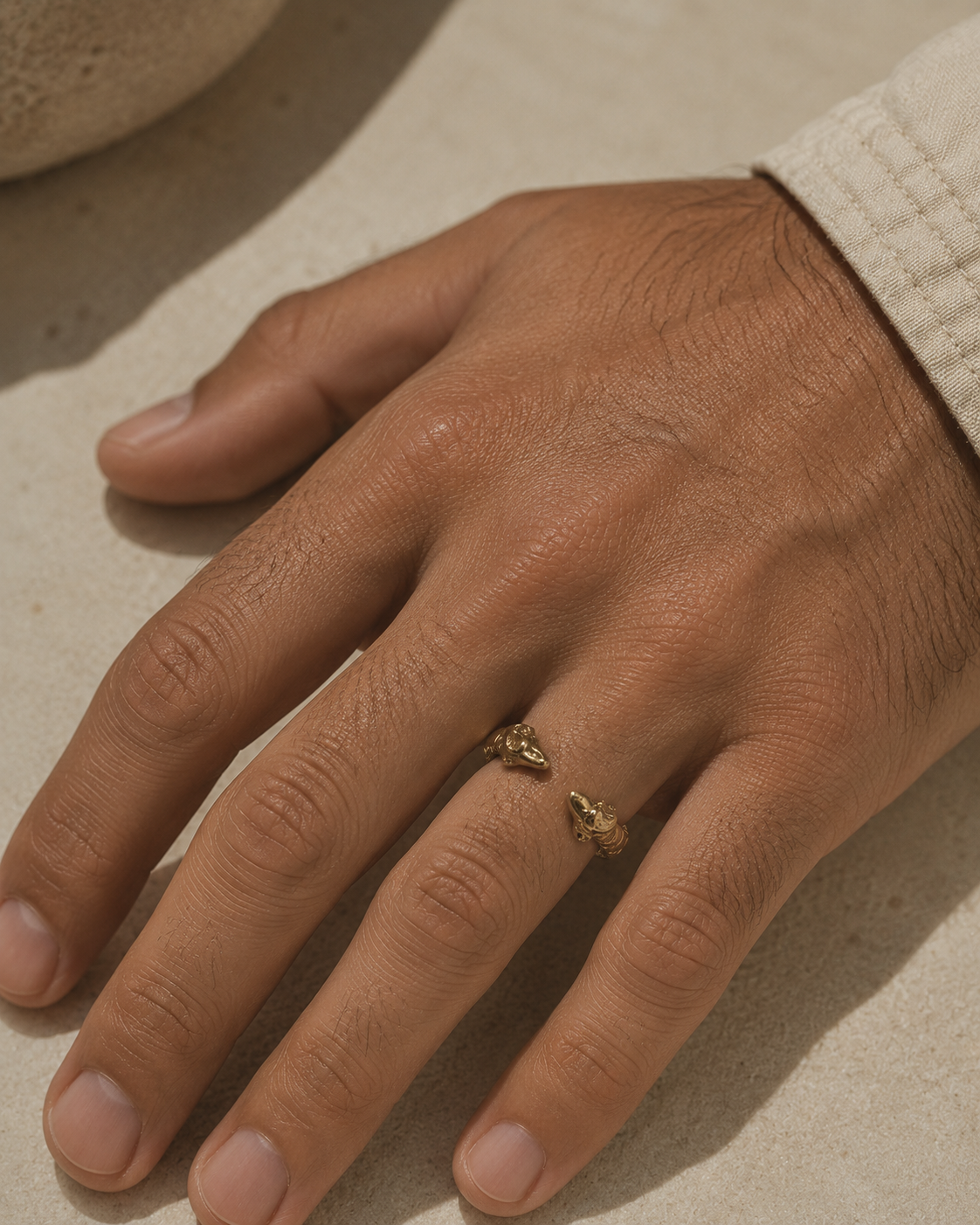 Ouroboros Ring